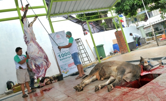 1.000 Paket daging kurban dibagikan di Masjid Baiturrahman Al-Haq