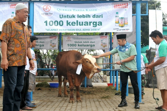 1.000 Paket daging kurban dibagikan di Masjid Baiturrahman Al-Haq