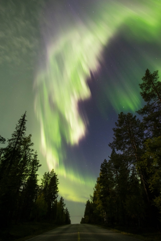 Cantiknya cahaya aurora menari di langit Finlandia