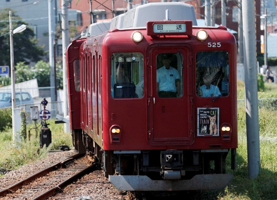 Unik, KRL lokal di Jepang ini difasilitasi kafe kucing