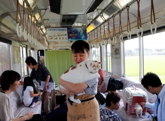 Unik, KRL lokal di Jepang ini difasilitasi kafe kucing