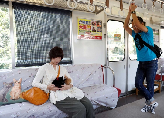 Unik, KRL lokal di Jepang ini difasilitasi kafe kucing