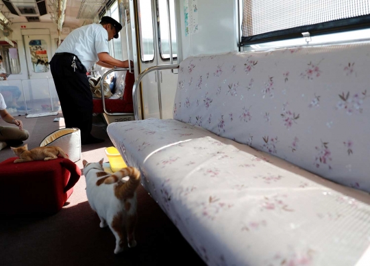 Unik, KRL lokal di Jepang ini difasilitasi kafe kucing