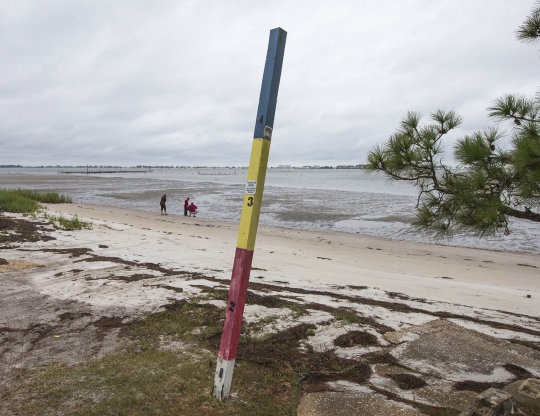 Fenomena langka saat air di pantai Florida tersedot Badai Irma