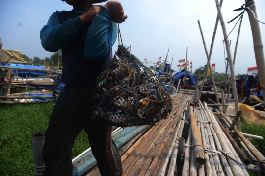 Potret nelayan rajungan di Muara Angke