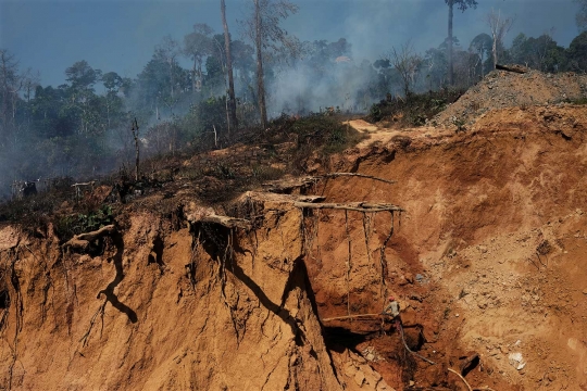 Menengok surga emas bagi penambang ilegal di hutan belantara Amazon