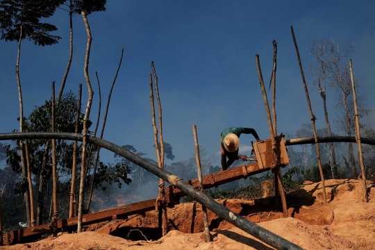Menengok surga emas bagi penambang ilegal di hutan belantara Amazon