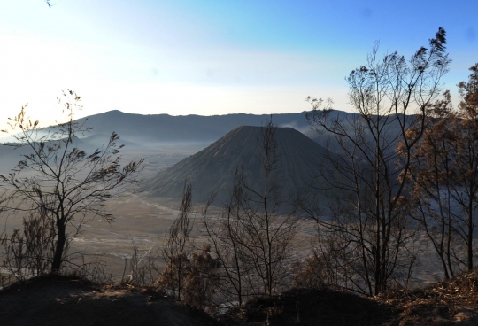 Gunung Bromo berstatus waspada