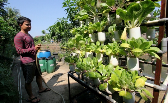 Mengintip konsep berkebun di tengah kota ala warga Cikini