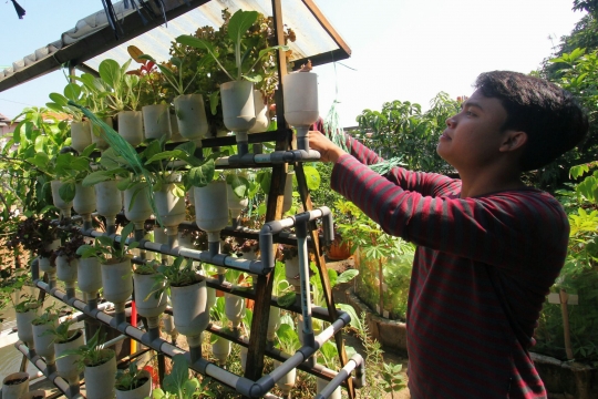 Mengintip konsep berkebun di tengah kota ala warga Cikini