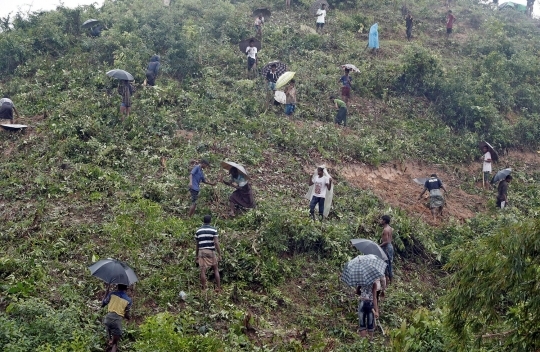 Gotong-royong pengungsi Rohingya bangun kamp di lereng bukit