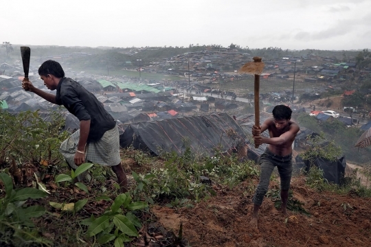 Gotong-royong pengungsi Rohingya bangun kamp di lereng bukit
