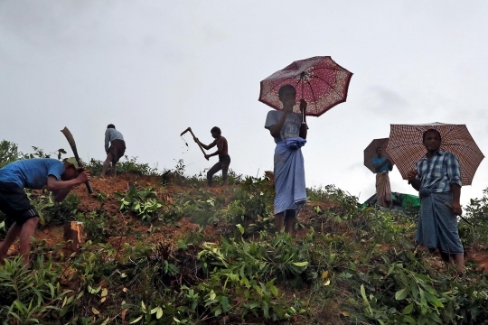 Gotong-royong pengungsi Rohingya bangun kamp di lereng bukit