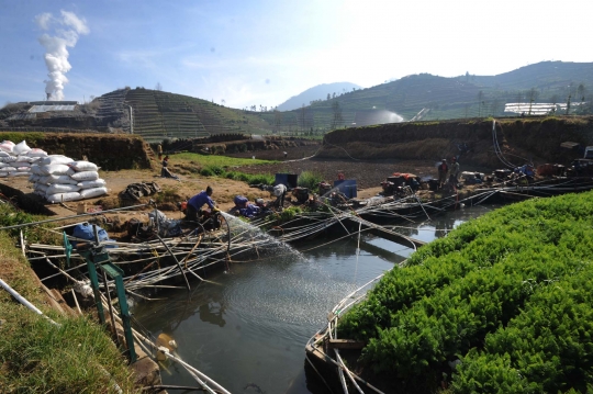 Kemarau, petani di Dieng harus berebut air untuk sirami ladang