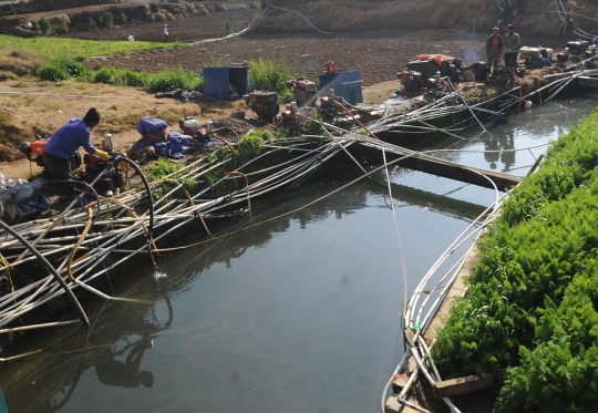 Kemarau, petani di Dieng harus berebut air untuk sirami ladang