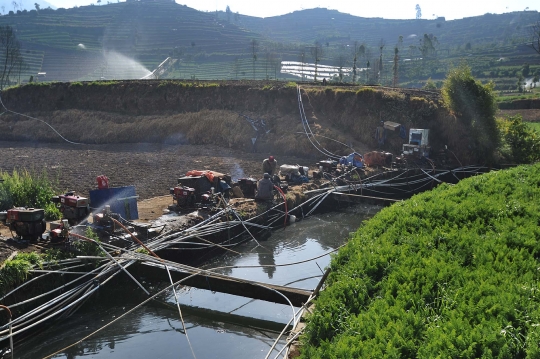 Kemarau, petani di Dieng harus berebut air untuk sirami ladang