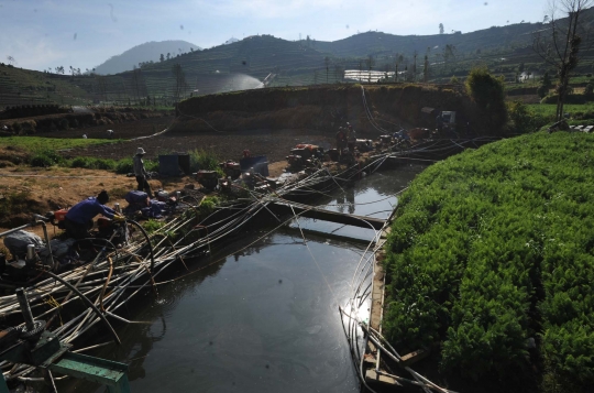 Kemarau, petani di Dieng harus berebut air untuk sirami ladang