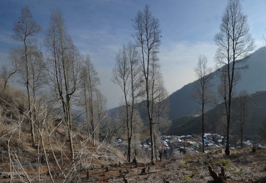 Alam Dukuh Rejosari yang memutih jadi daya tarik wisatawan Dieng