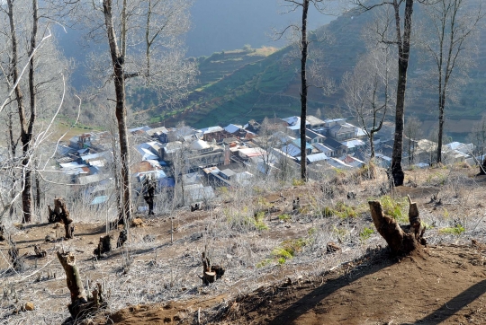 Alam Dukuh Rejosari yang memutih jadi daya tarik wisatawan Dieng