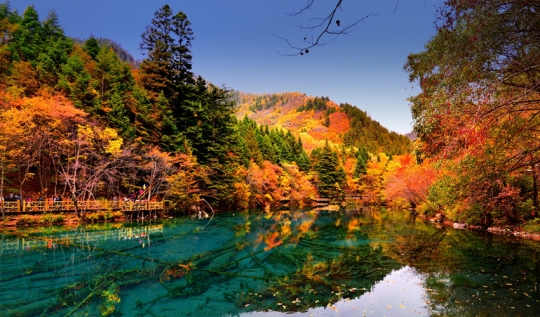 Indah bak lukisan, panorama lembah Jiuzhaigou di musim gugur
