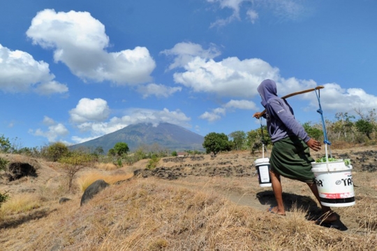 Potret petani Karangasem nekat beraktivitas di tengah status awas Gunung Agung