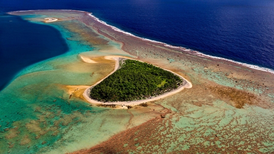 Menyelami indahnya alam bawah laut Hawaii