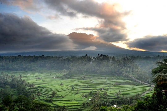 Panorama keindahan sawah Subak Lepang di kaki Gunung Agung