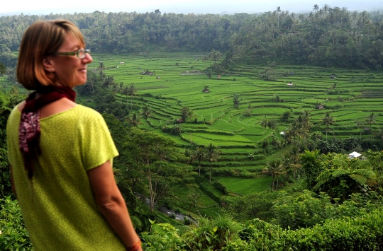 Panorama keindahan sawah Subak Lepang di kaki Gunung Agung