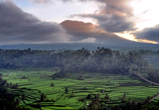 Panorama keindahan sawah Subak Lepang di kaki Gunung Agung