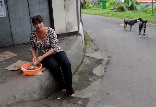 Kisah wanita AS beri makan anjing-anjing terlantar di kaki Gunung Agung