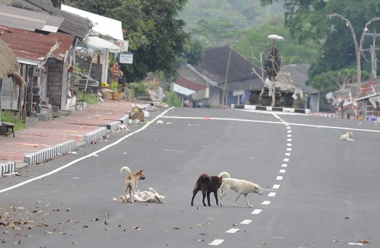 Sepinya kawasan Pura Besakih ditinggal warga mengungsi