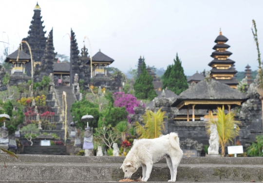 Sepinya kawasan Pura Besakih ditinggal warga mengungsi