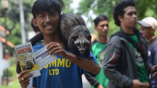 Hari Rabies Sedunia, Pemprov DKI vaksin hewan peliharaan warga