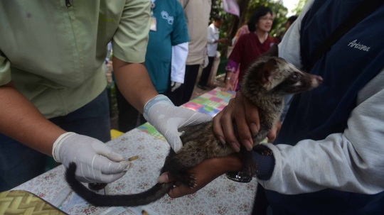 Hari Rabies Sedunia, Pemprov DKI vaksin hewan peliharaan warga