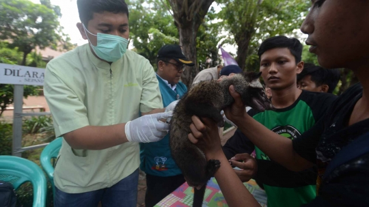 Hari Rabies Sedunia, Pemprov DKI vaksin hewan peliharaan warga