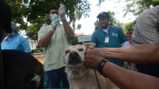 Hari Rabies Sedunia, Pemprov DKI vaksin hewan peliharaan warga