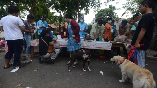 Hari Rabies Sedunia, Pemprov DKI vaksin hewan peliharaan warga