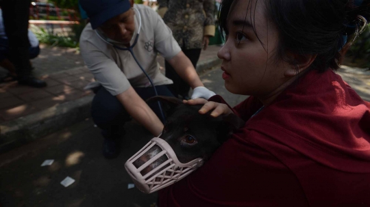 Hari Rabies Sedunia, Pemprov DKI vaksin hewan peliharaan warga