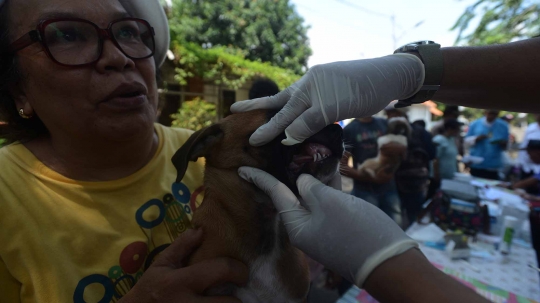 Hari Rabies Sedunia, Pemprov DKI vaksin hewan peliharaan warga