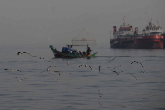 Potret ekosistem di pesisir Teluk Jakarta yang kian terancam