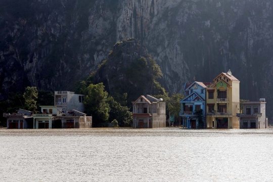 Petani Vietnam panen padi di tengah banjir