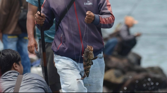 Menyalurkan hobi memancing di tanggul laut Muara Baru