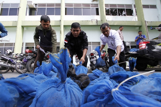 Nasib tenggiling korban penyelundupan berakhir dibakar