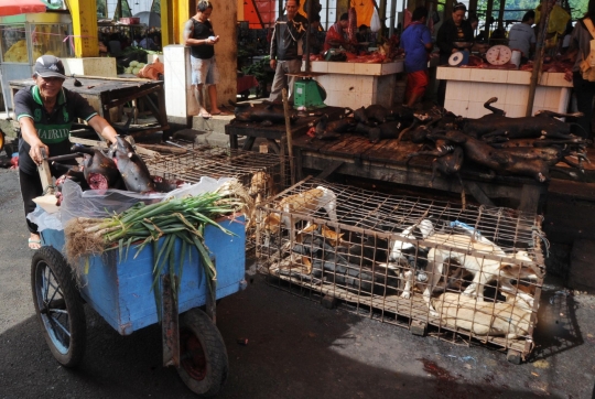 Saat anjing dan kucing di Tomohon laris jadi santapan