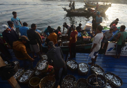 Akibat reklamasi dan limbah, tangkapan ikan di Teluk Jakarta berkurang