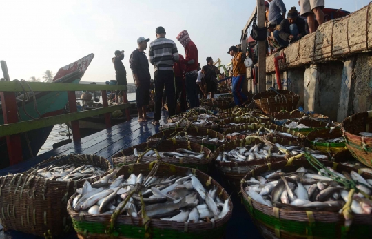 Akibat reklamasi dan limbah, tangkapan ikan di Teluk Jakarta berkurang