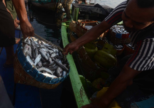 Akibat reklamasi dan limbah, tangkapan ikan di Teluk Jakarta berkurang