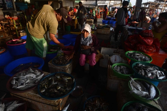 Akibat reklamasi dan limbah, tangkapan ikan di Teluk Jakarta berkurang