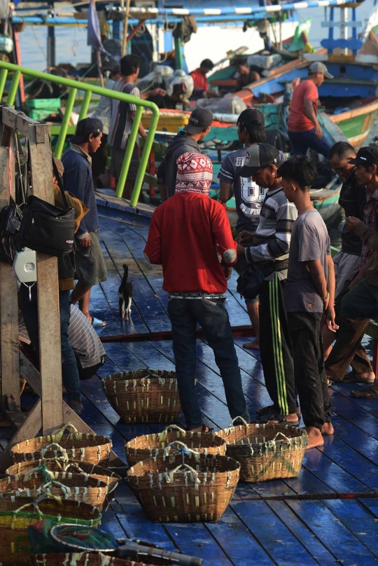 Akibat reklamasi dan limbah, tangkapan ikan di Teluk Jakarta berkurang