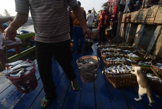 Akibat reklamasi dan limbah, tangkapan ikan di Teluk Jakarta berkurang